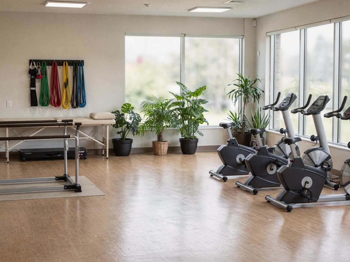 The fitness and physical therapy room